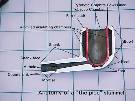 Bowl Anatomy